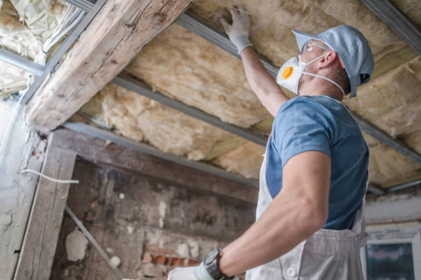 Best Residential Insulation Services  in Miami, FL